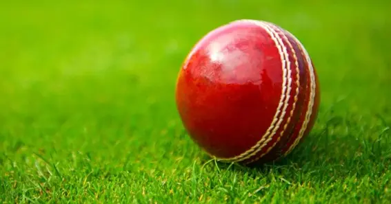 What Cricket Ball Is Used In IPL Games