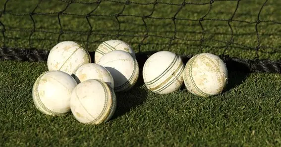 which ball is used in IPL