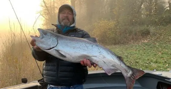 lewis river steelhead fly