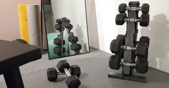 dumbbell set w rack