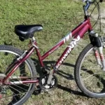 schwinn sidewinder 2.6 fs