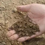 show me soils