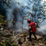 Kenya Helicopter Crash Kills Ecuador Intelligence Chief and Six Others