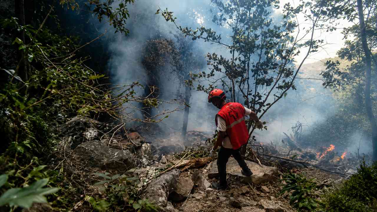 Kenya Helicopter Crash Kills Ecuador Intelligence Chief and Six Others