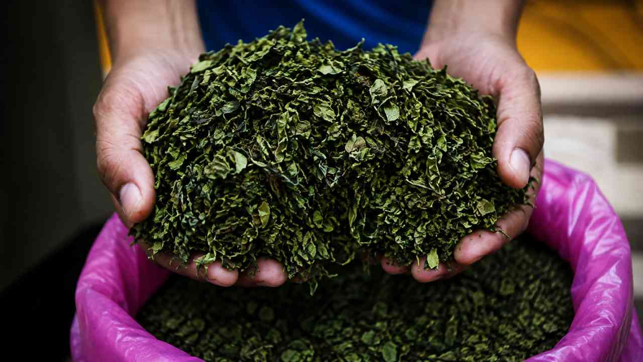 Saudi Border Guards Seize 240 Kilograms of Khat in Asir and Jazan