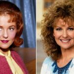 Shelley Fabares Dies at 82, Leaving a Lasting Hollywood Legacy